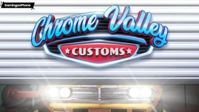 Chrome Valley Customs rally1