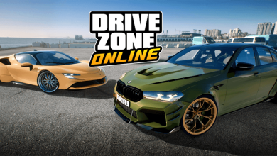 Drive Zone Online: Car Game rally1